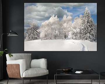 Winter in het Beierse Woud van Peter Eckert