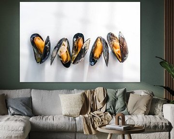 Row of cooked blue mussels with shadows on a white background, copy space, selected focus by Maren Winter