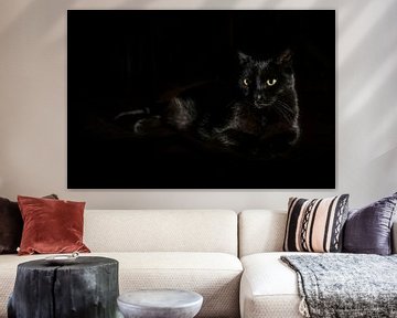 Zwarte kat met geelgroene ogen ligt op een donkere achtergrond, zijdelings licht, kopieerruimte, ges van Maren Winter