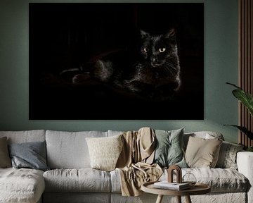 Black cat with yellow green eyes lies on a dark background, side light, copy space, selected focus,  by Maren Winter