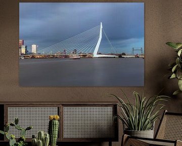 Skyline von Rotterdam von Miranda van Hulst