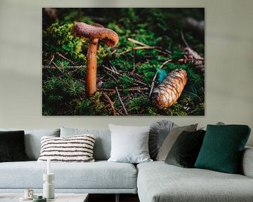 Un champignon de conte de fées dans une forêt d'automne sur MindScape Photography