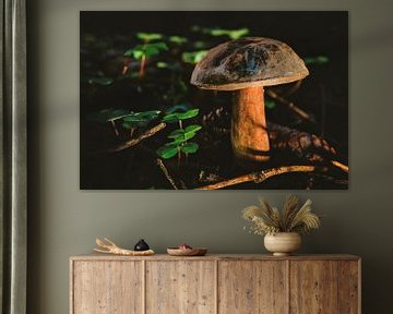 Märchenhafter Pilz im Herbstwald von MindScape Photography