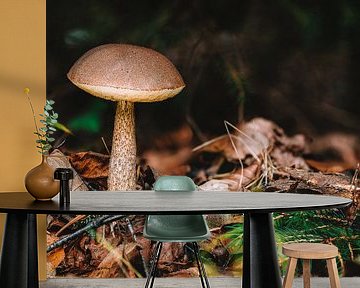 Sprookjesachtige paddenstoel in het herfstbos van MindScape Photography