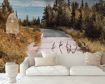 Reindeer on the road in Sweden by Expeditie Aardbol