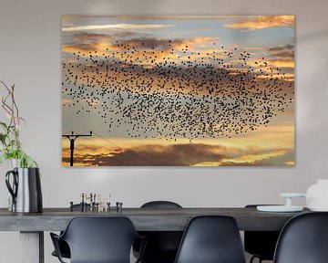 Migration des oiseaux dans le ciel du soir sur Heike Hultsch