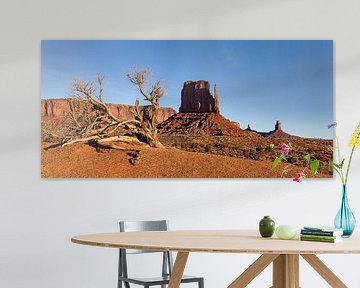 Panorama Monument Valley, United States by Adelheid Smitt