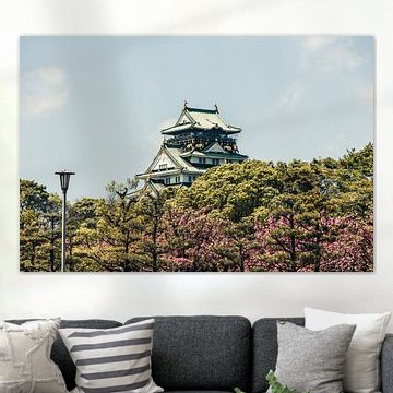 Schloss von Osaka während der Kirschblüte, Japan