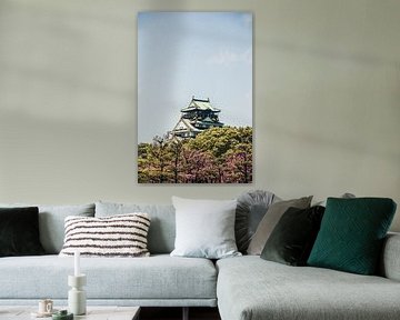 Castle of Osaka during the cherry blossom, Japan