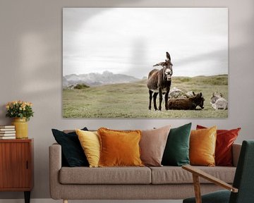 Cute, cheerful Donkey in the Dolomites of Italy by Wianda Bongen