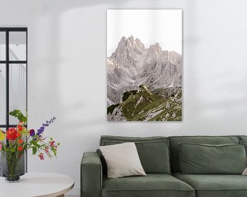 Drei Zehenspitzen Baumphrasen | Dolomiten, Italien in Europa von Wianda Bongen