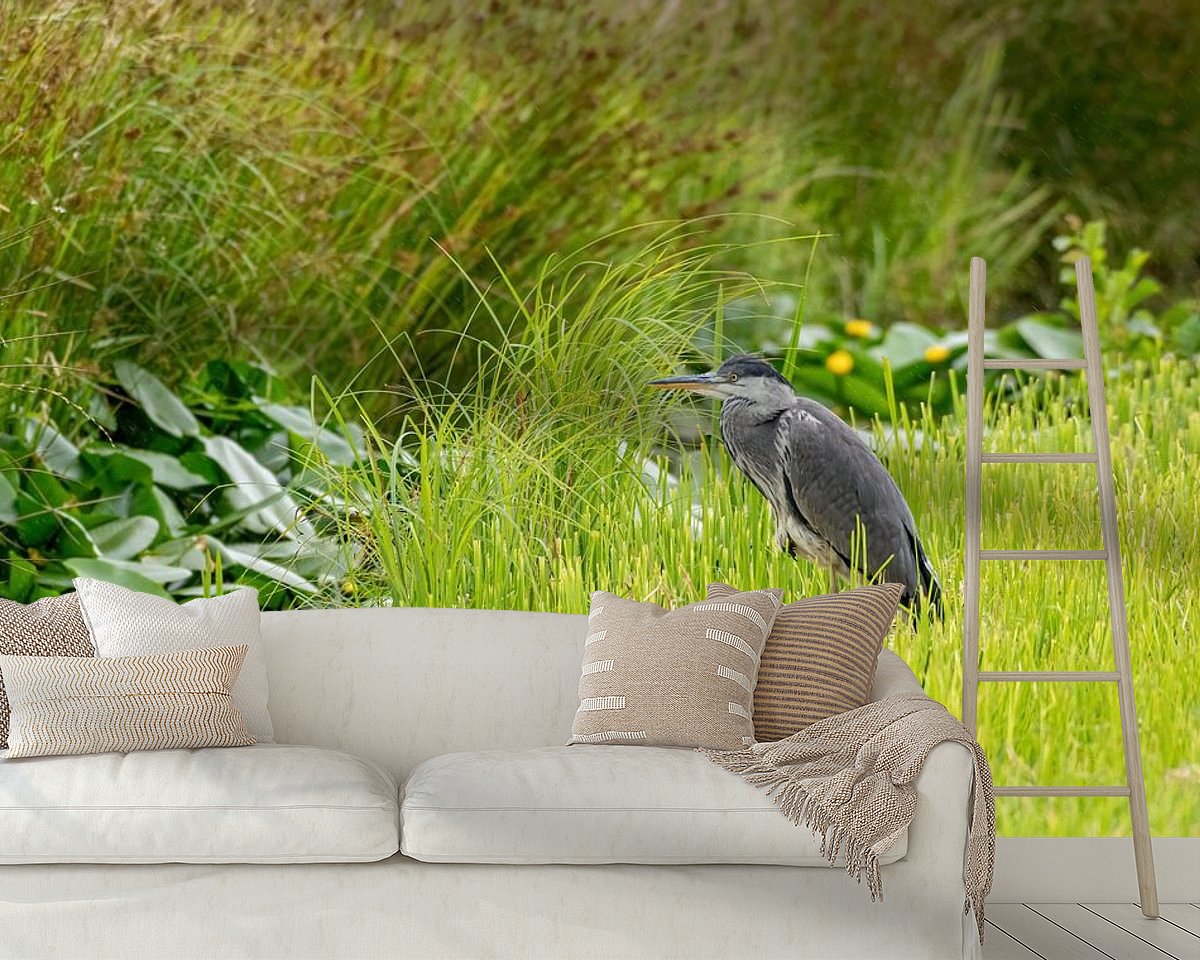 Raumvorschau