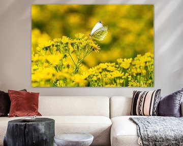 Weißer Schmetterling in Gelb von Merijn Loch