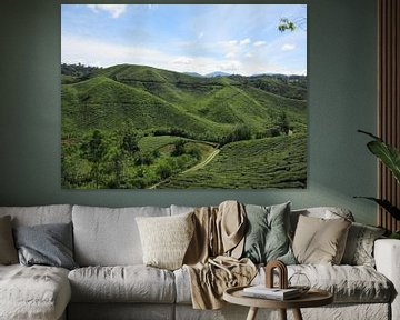 Cameron Highlands  - Maleisië van Fotograaf Jelle