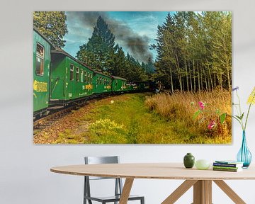 Herbstlandschaft im schönen Erzgebirge Fichtelbergbahn von Johnny Flash