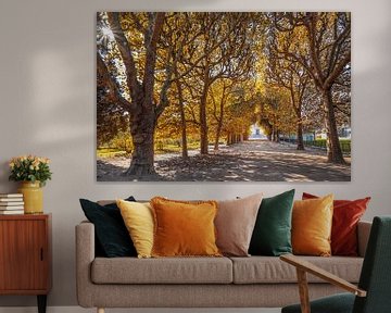 Autumn avenue in the Jardin des Plantes in Paris by Christian Müringer