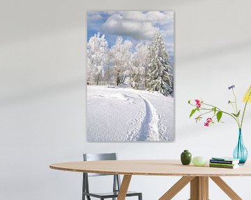 Winterlandschap in het Beierse Woud van Peter Eckert