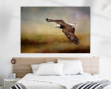 Flying American Bald Eagle by Diana van Tankeren