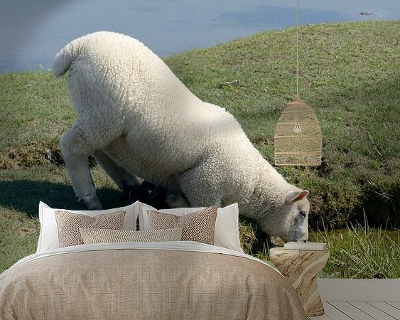 Voorbeeld van het werk in een kamer