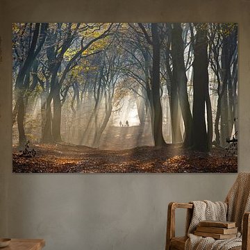 Randonnée avec les chiens