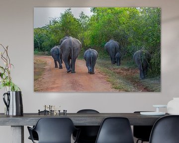 Elephants in Minneriya National Park in Sri Lanka by Lifelicious