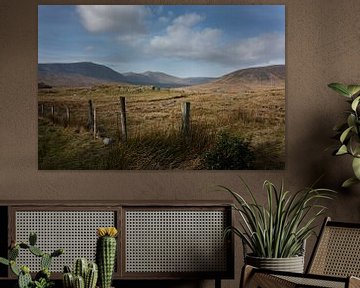 Paysage des tourbières irlandaises sur Bo Scheeringa Photography