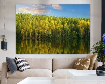 Lake in Sweden with Reflection of the Trees