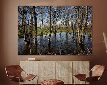 Arbres inondés sur Bo Scheeringa Photography