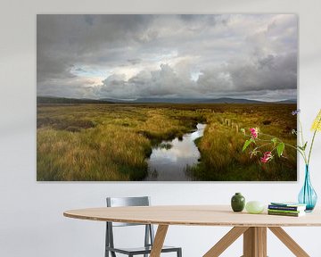 Peat bogs in Ireland by Bo Scheeringa Photography