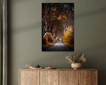 Dark Hedges, Nordirland von Munich Art Prints