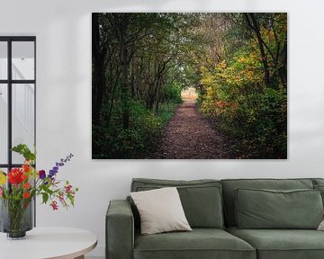 Tunnel der natuur van Joren van den Bos