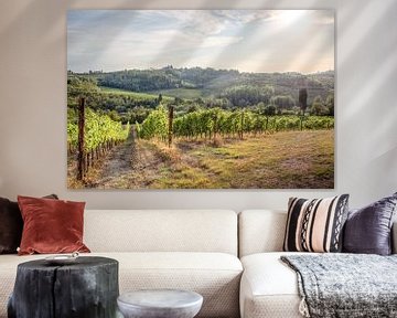 Tuscan vineyards by Jelmer Laernoes