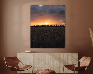 Sonnenuntergang über Getreidefeld von Joren van den Bos