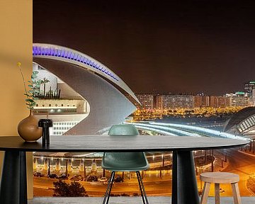 Valencia Stadt der Künste und Wissenschaften von Ko Hoogesteger