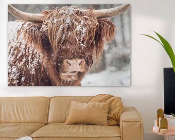 Portret van een Schotse Highlander koe in de sneeuw van Sjoerd van der Wal