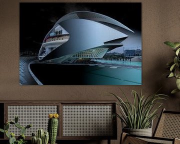 Calatrava's Opera huis in Valencia van Rene Siebring