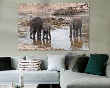 Wildtiere: Afrikanische Elefanten löschen ihren Durst im Fluss. von RKoolspics