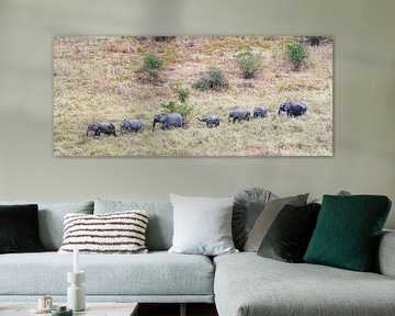 Wildlife: Kudde olifanten trekt over de savanne in Tarangire Nationaal Park in Tanzania van RKoolspics