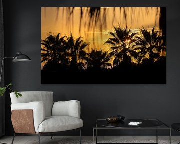 Coucher de soleil doré avec une silhouette de palmiers sur Michiel Ton