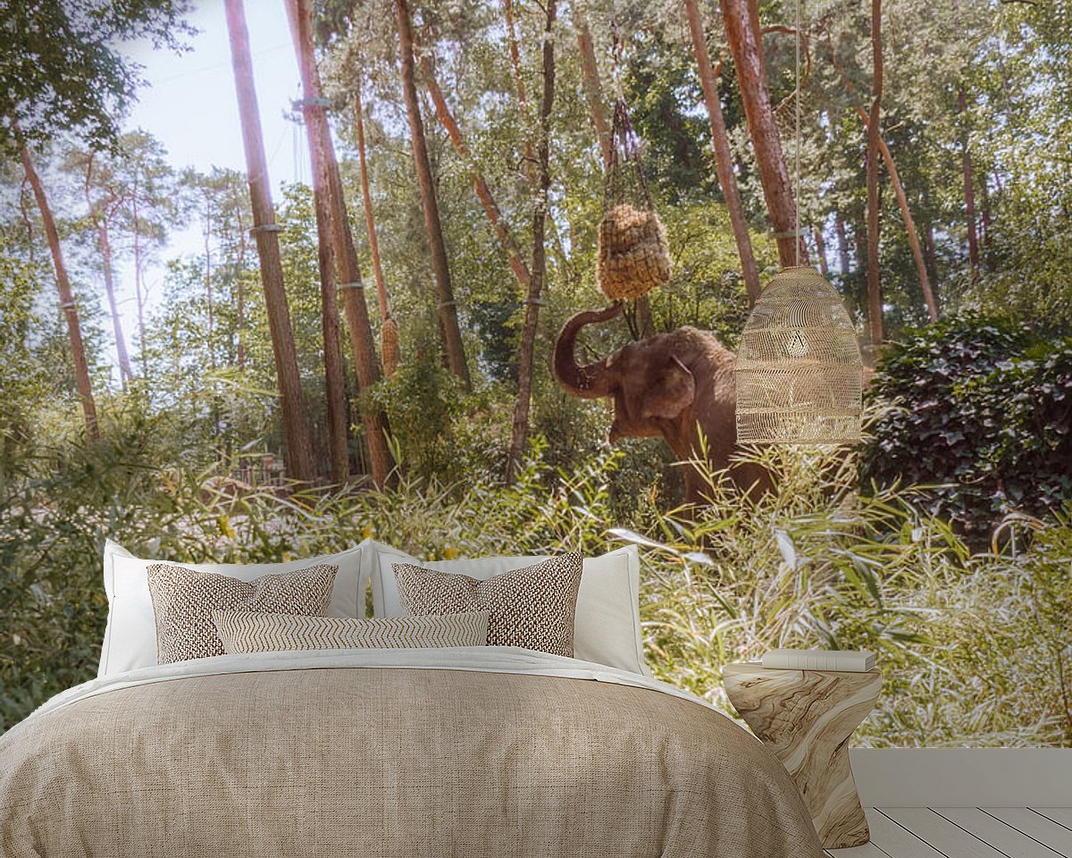 Raumvorschau