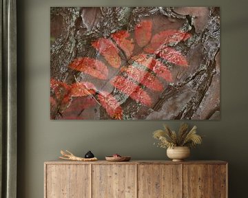 Natuur Art