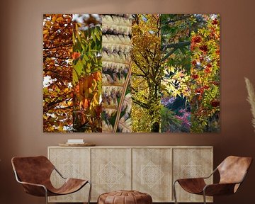 Autumn colours