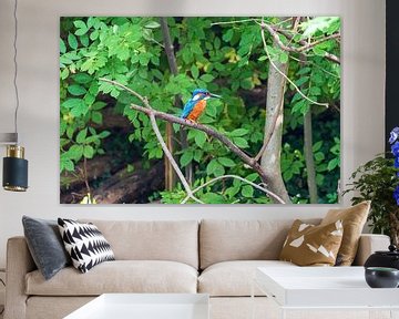 The kingfisher on a branch by Merijn Loch