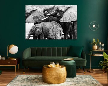 Natte, drinkende olifanten van Anja Brouwer Fotografie