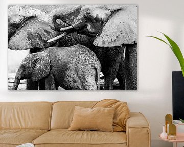 Nasse, trinkende Elefanten