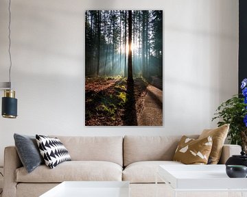 Speulderbos - 18 by Nuance Beeld