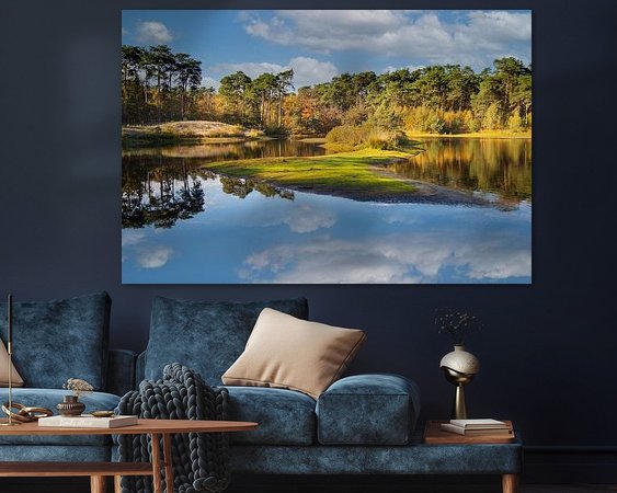 Aperçu de la chambre