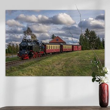 HSB 99-6001 Hasselfelde by Marcel Timmer