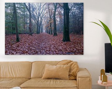 Mistig herfst Bos in vroege ochtend bij Zeist, van John Ozguc