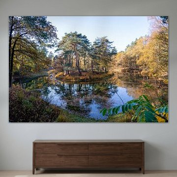 Reflecties van herfstkleuren van bladeren in de herfst in bos, meertje in de Utrechtse Heuvelrug, Ze